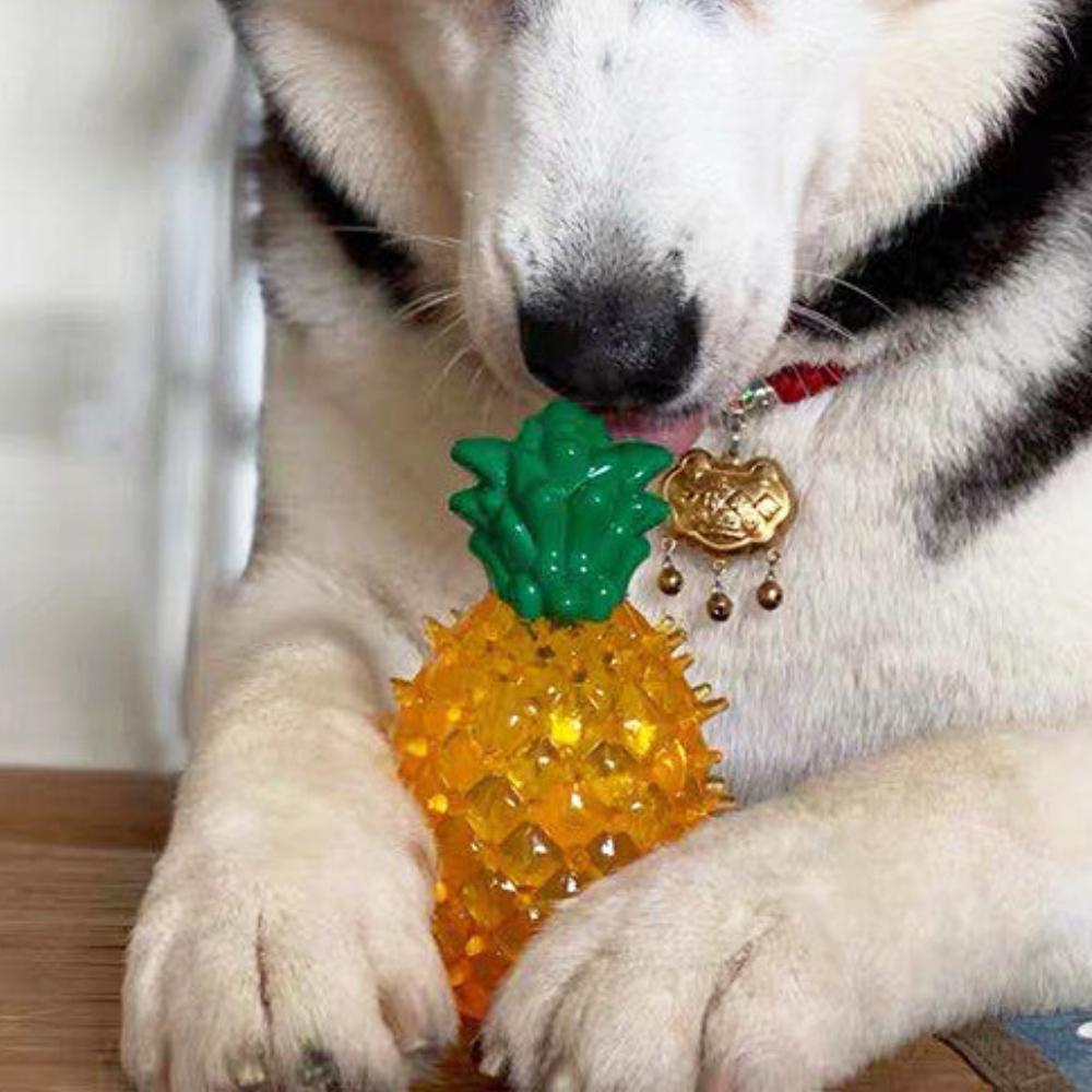 Køling, frysebart sommerdyr til hunde, der får tænder, tyggelegetøj