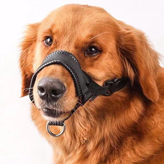 Justerbar hundemundkurv – åndbar og drikkelig!