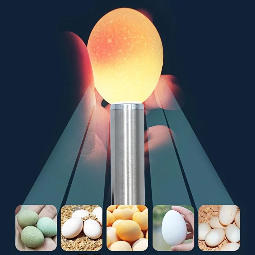 Ægget Candler Illuminator