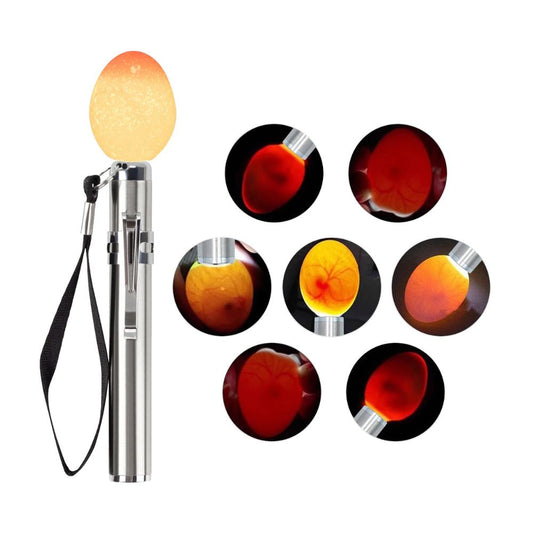 Ægget Candler Illuminator