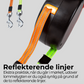 Dobbelt indtrækkelig hundesnor