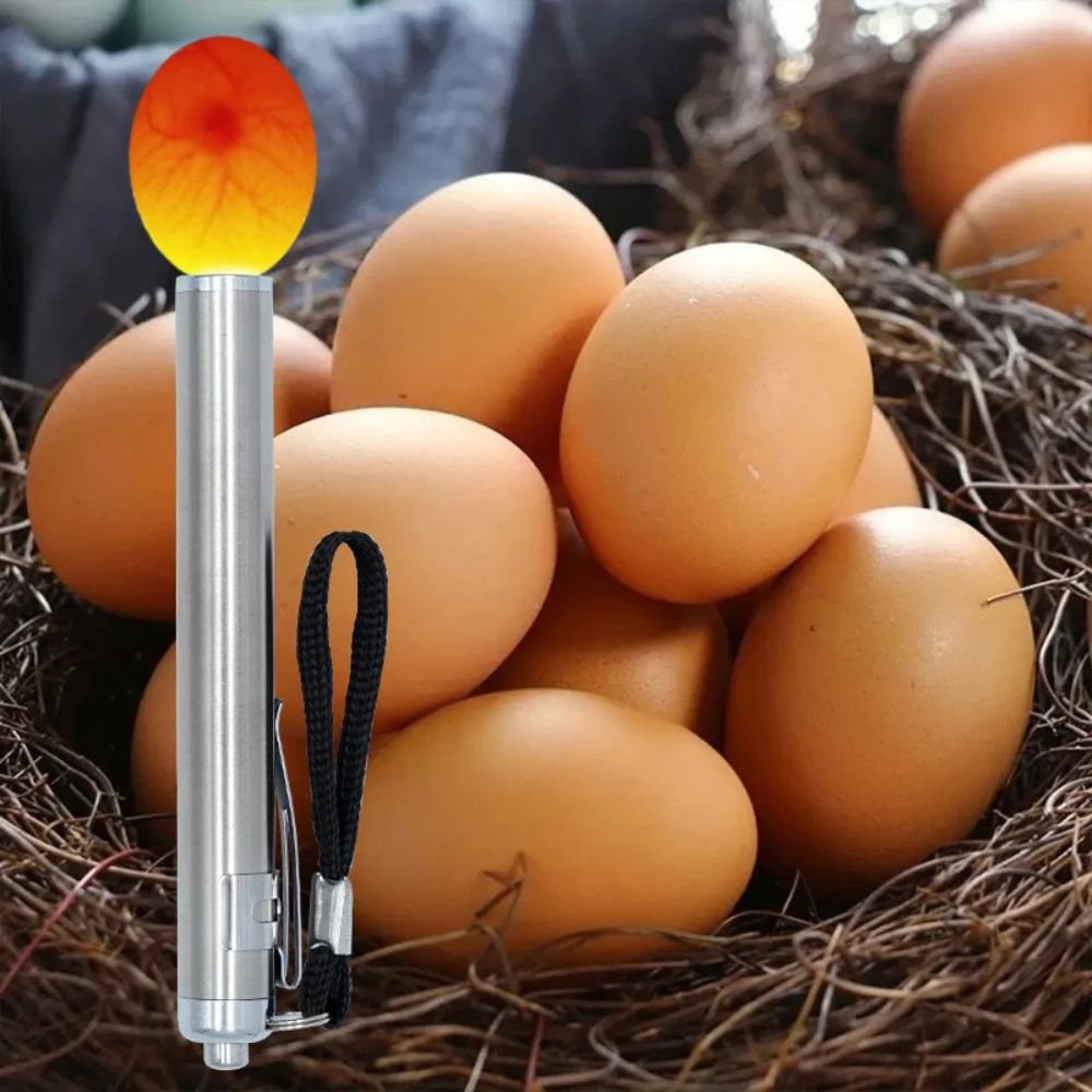 Ægget Candler Illuminator