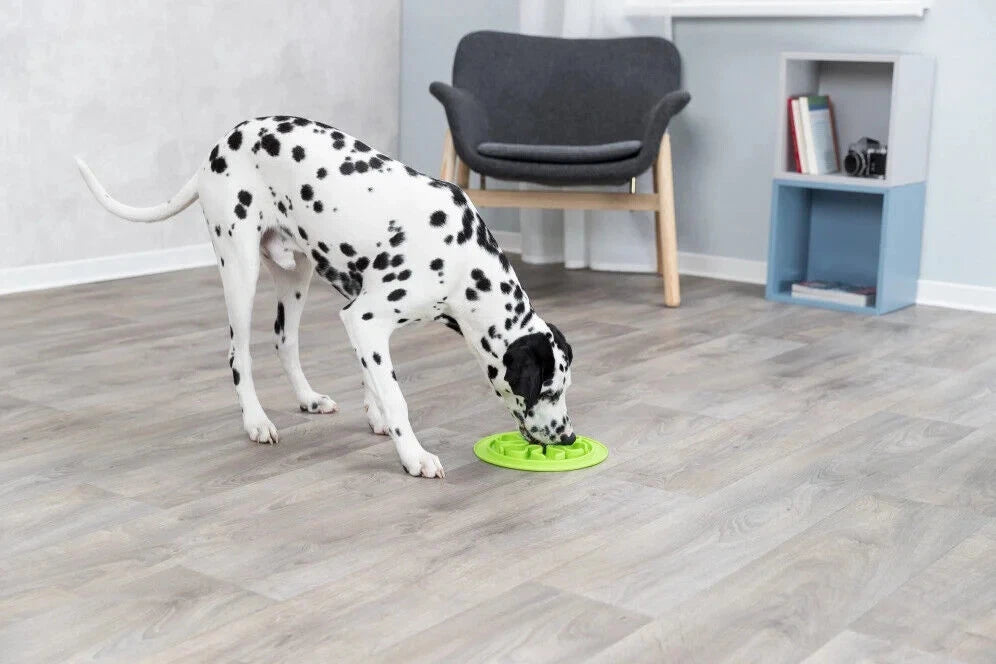 Silikoneunderlag til langsom fodring af hunde
