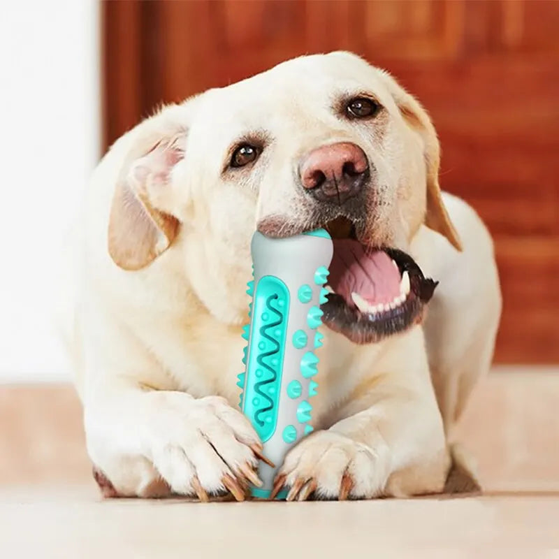 Tyggelegetøj af gummi til hunde