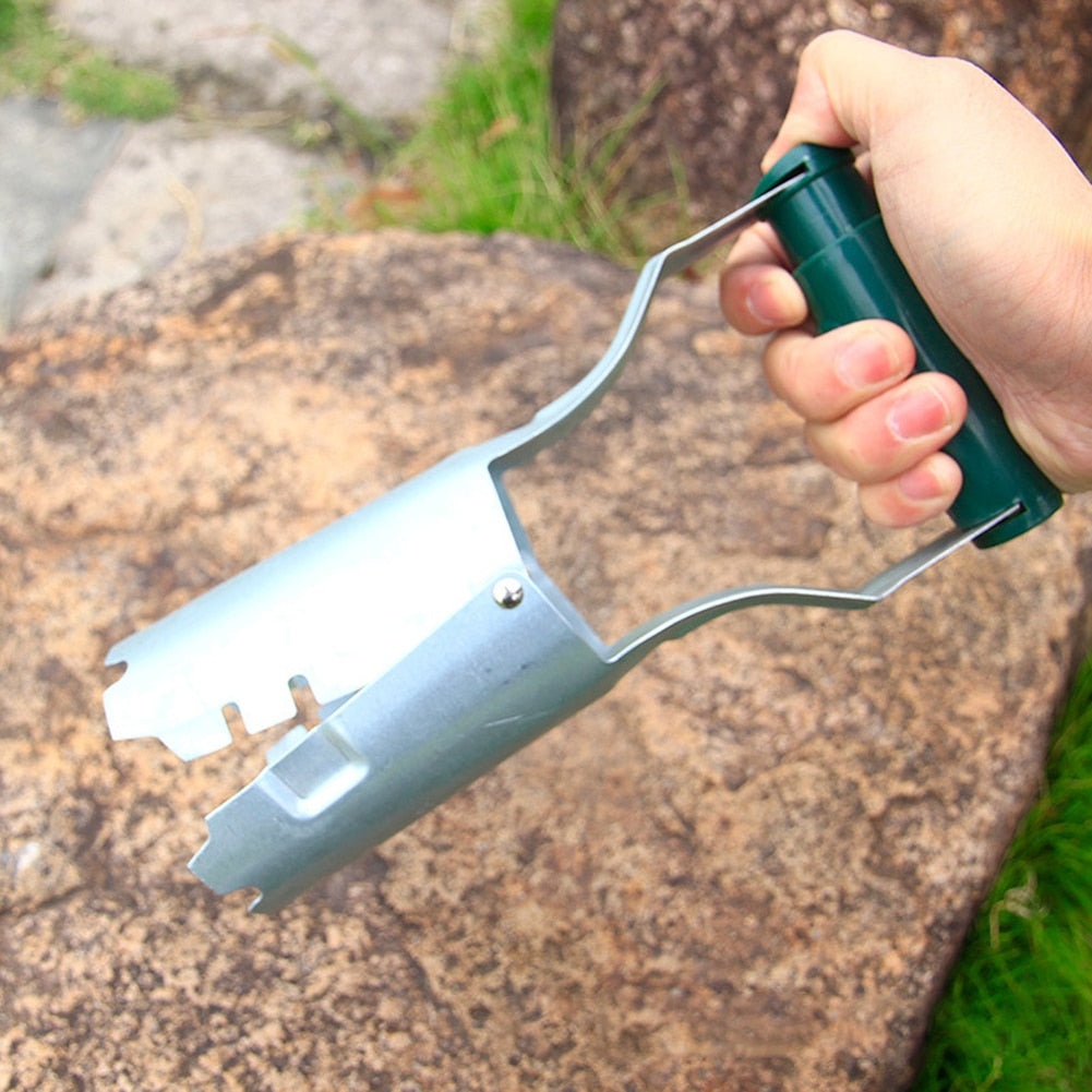 Planter til løgplanter