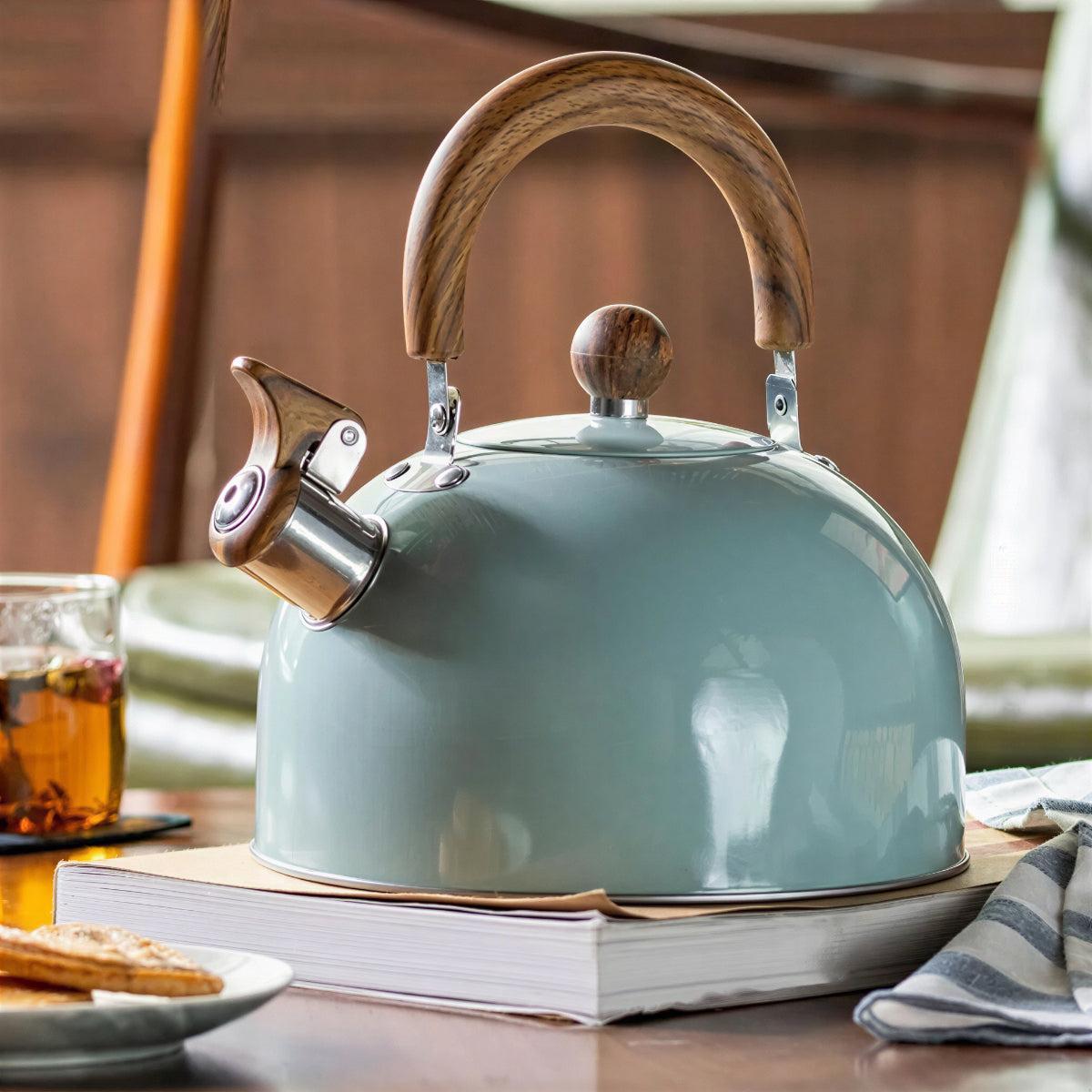 Fløjtekedel i rustfrit stål til gas og induktion