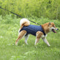 Justerbar løftesele til ældre hunde og hunde med nedsat mobilitet