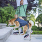 Justerbar løftesele til ældre hunde og hunde med nedsat mobilitet