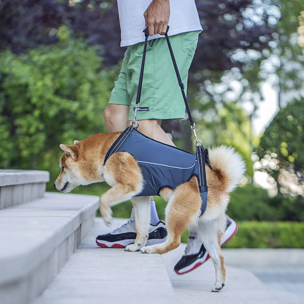 Justerbar løftesele til ældre hunde og hunde med nedsat mobilitet