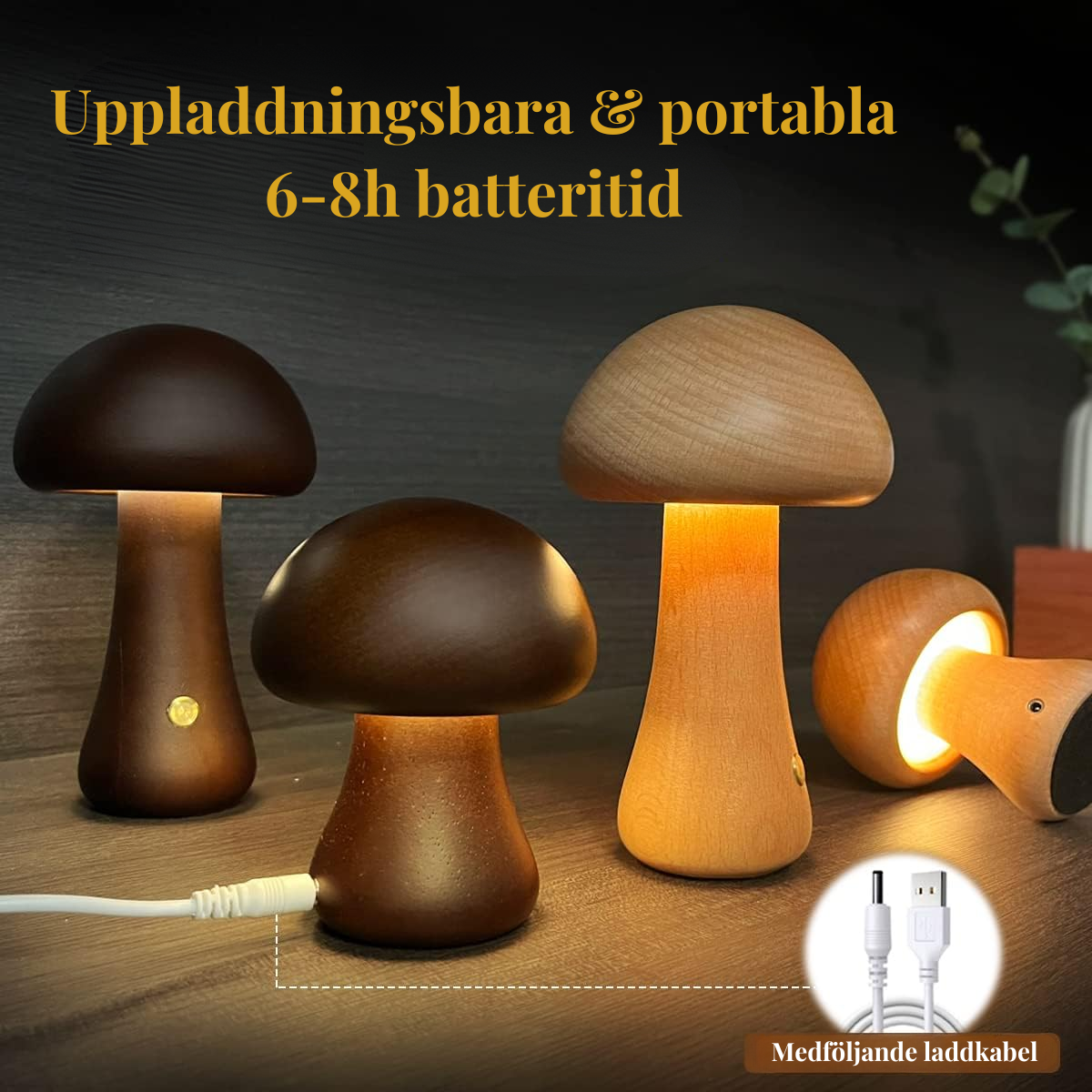Genopladelig bærbar svampelampe