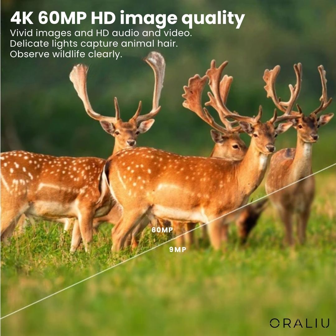 Vildtkamera med 4K-video, 60 MP og appstyring