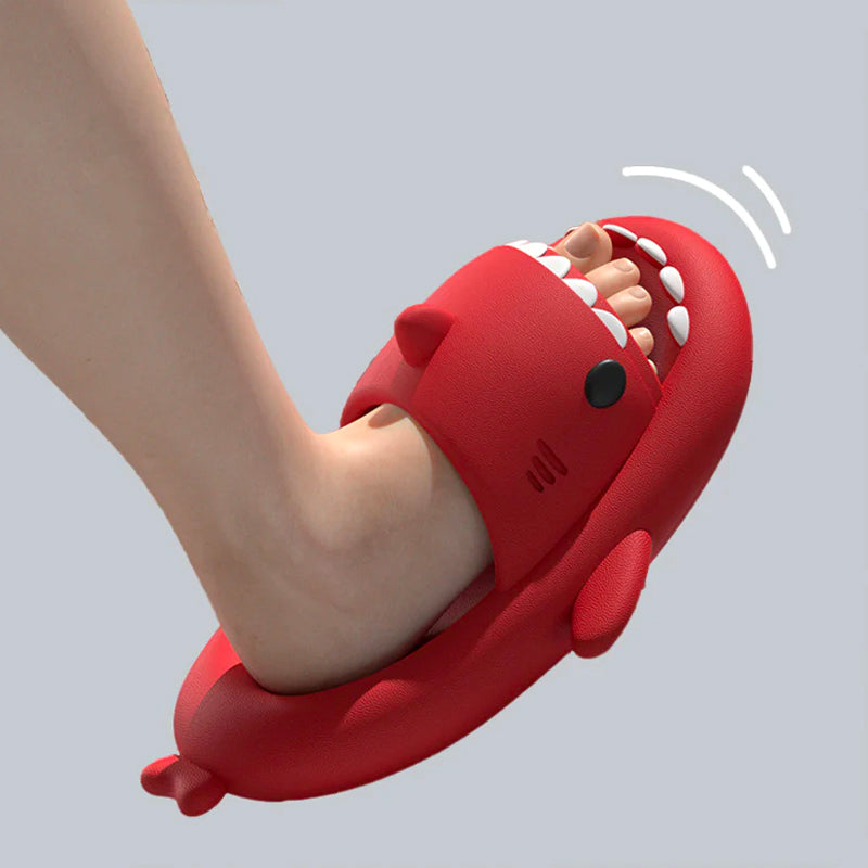 HelloShark Slippers