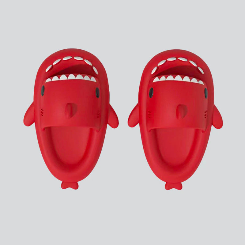 HelloShark Slippers