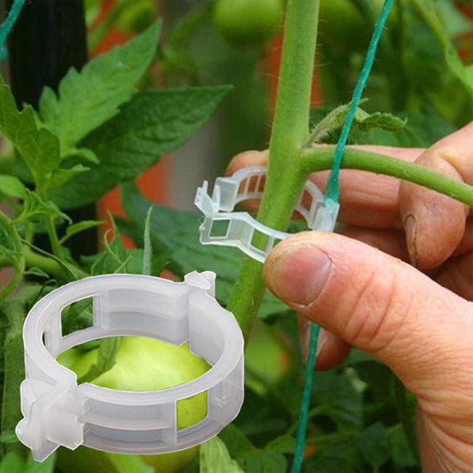 Støtteklemmer til planter